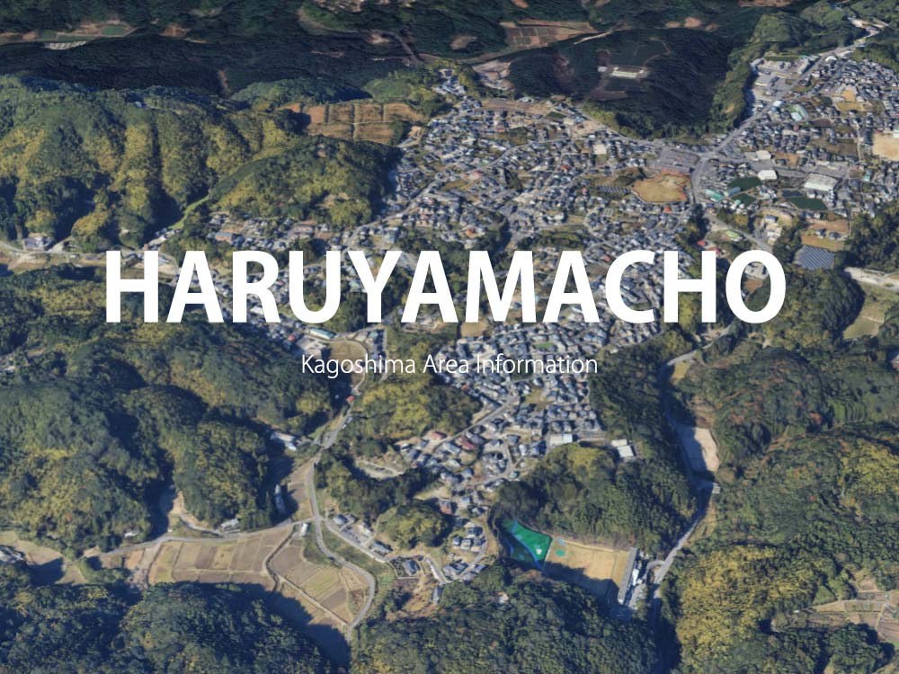 鹿児島市春山町で呼べるデリヘル