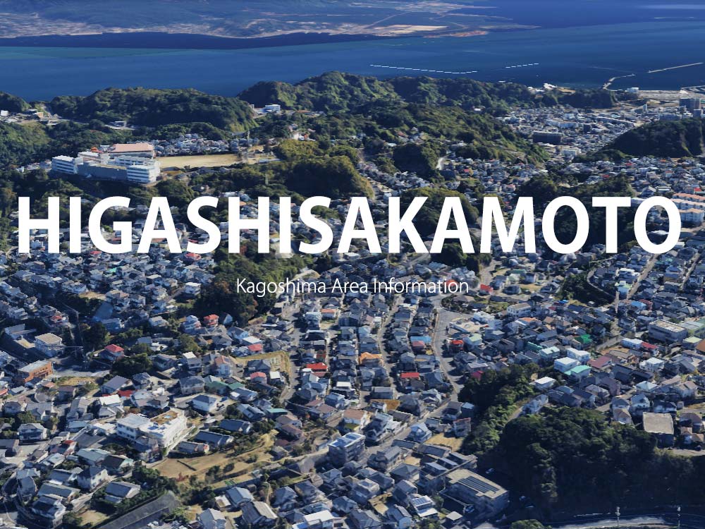 鹿児島市東坂元で呼べるデリヘル