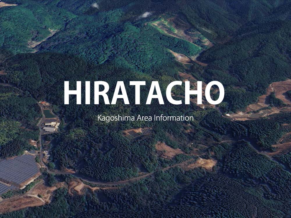 鹿児島市平田町で呼べるデリヘル