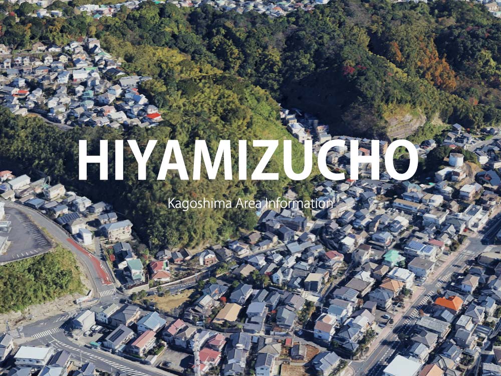 鹿児島市冷水町で呼べるデリヘル