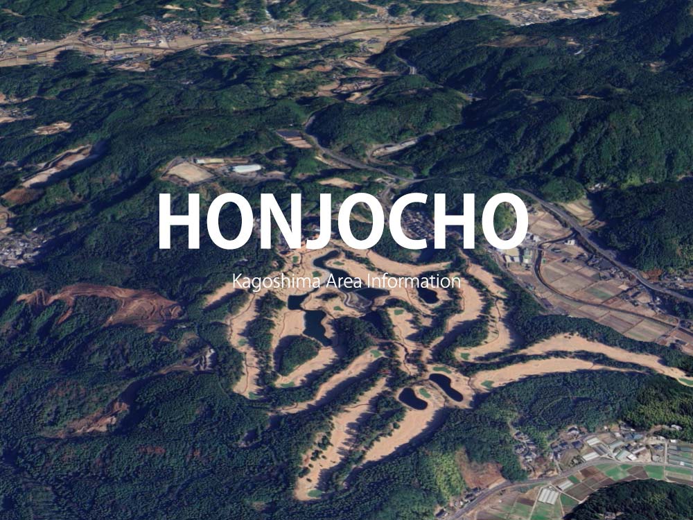 鹿児島市本城町で呼べるデリヘル