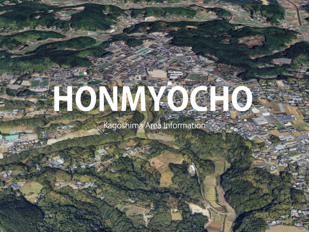 鹿児島市本名町で呼べるデリヘル
