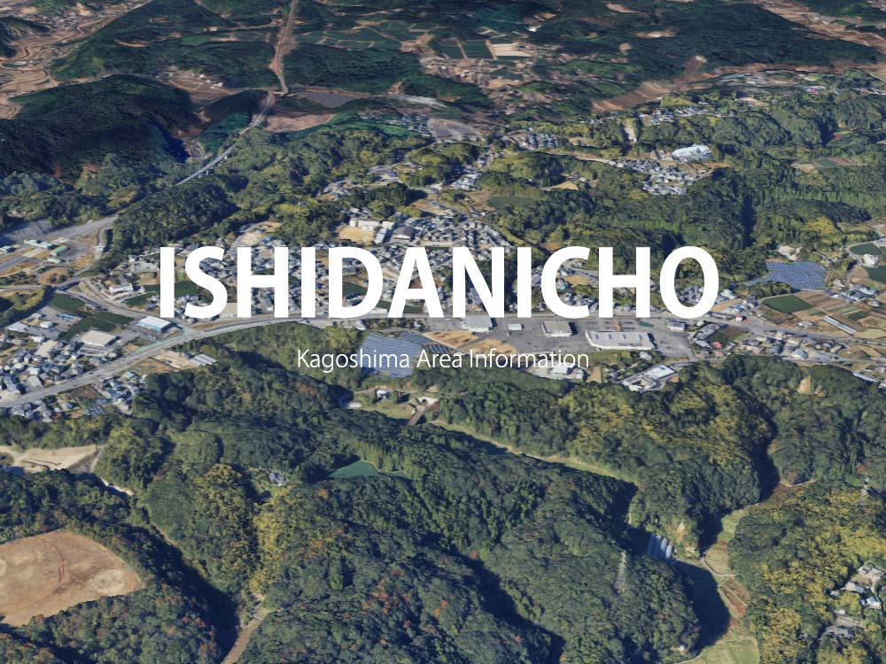 鹿児島市石谷町で呼べるデリヘル