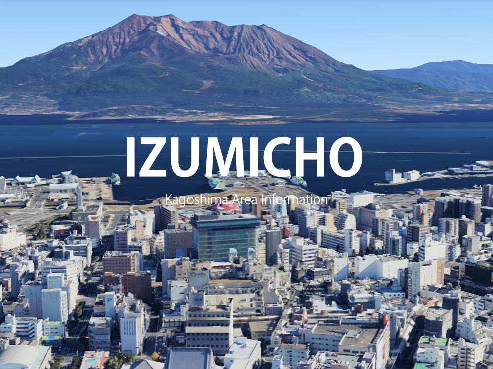 鹿児島市泉町で呼べるデリヘル