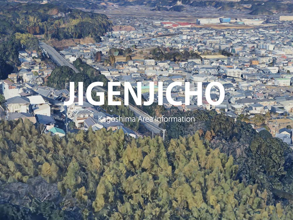 鹿児島市慈眼寺町で呼べるデリヘル