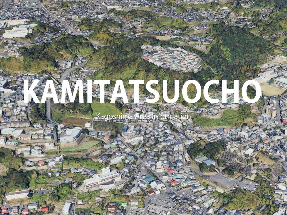 鹿児島市上竜尾町で呼べるデリヘル