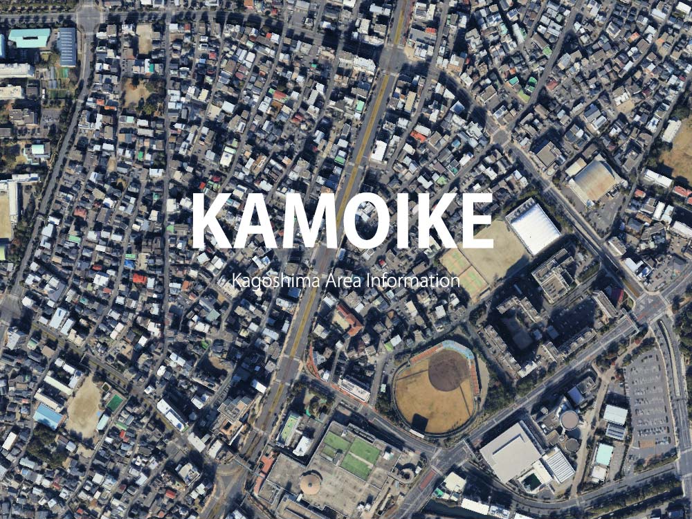 鹿児島市鴨池で呼べるデリヘル