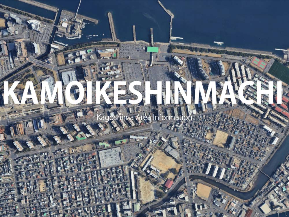 鹿児島市鴨池新町で呼べるデリヘル