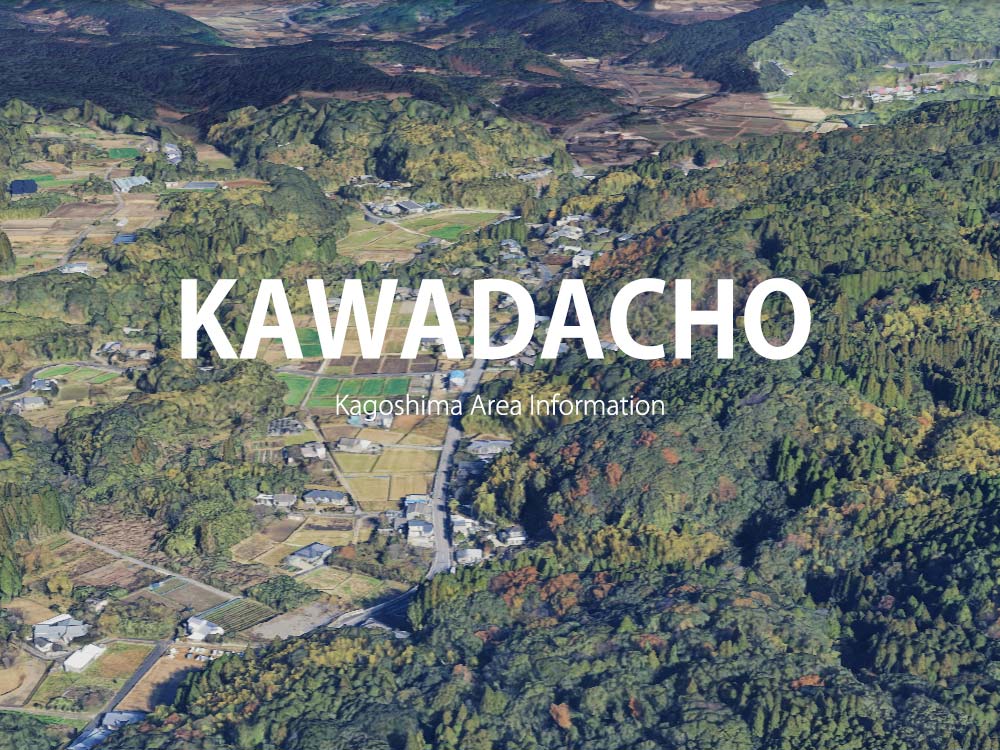鹿児島市川田町で呼べるデリヘル