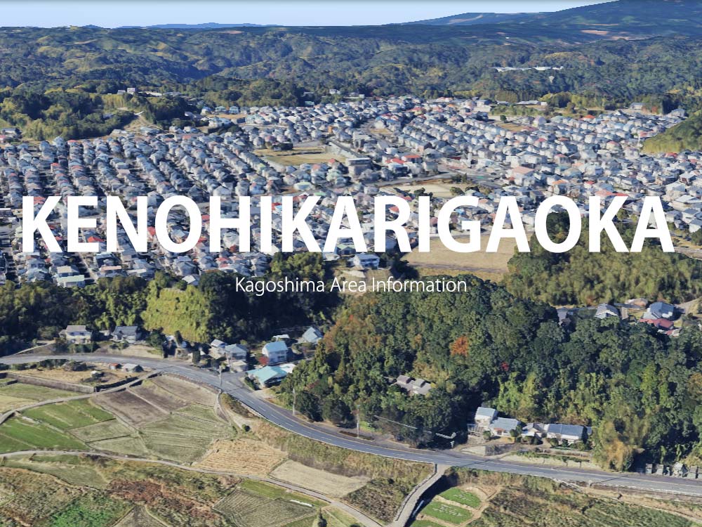 鹿児島市花野光ヶ丘で呼べるデリヘル
