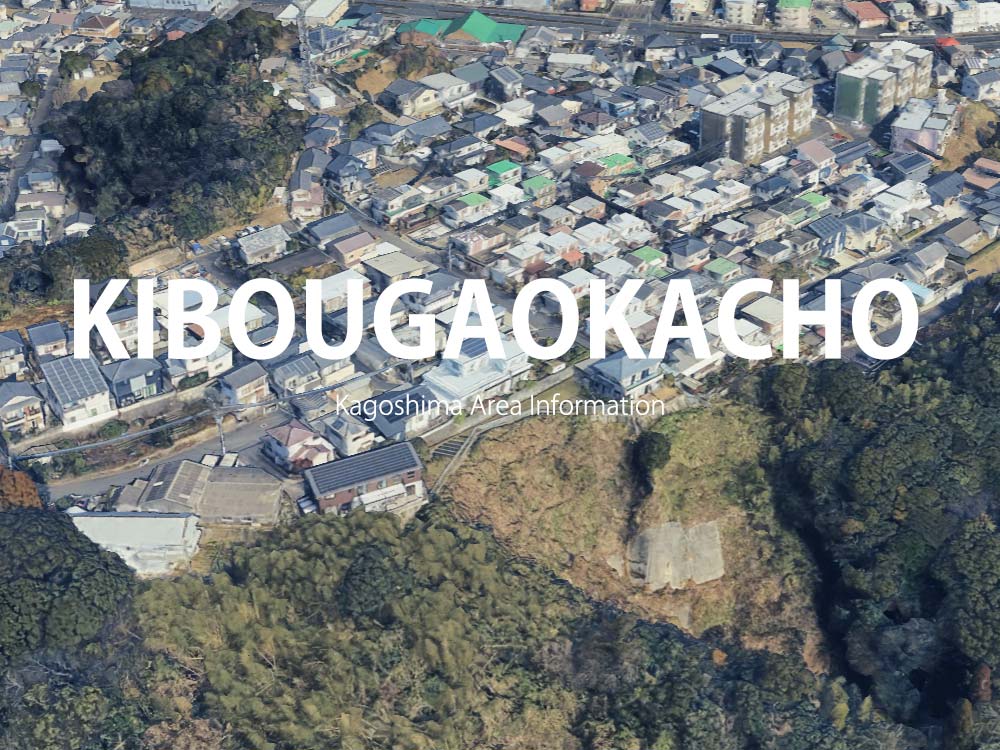 鹿児島市希望ヶ丘町で呼べるデリヘル
