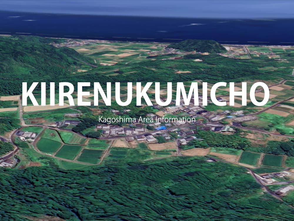 鹿児島市喜入生見町で呼べるデリヘル