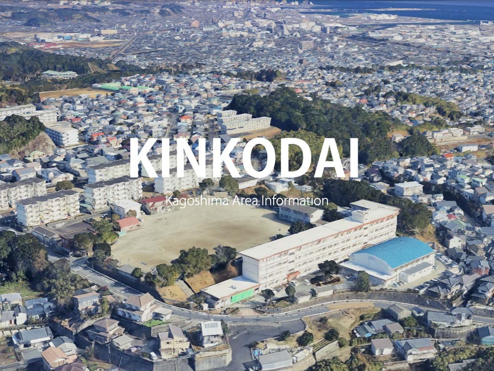 鹿児島市錦江台で呼べるデリヘル