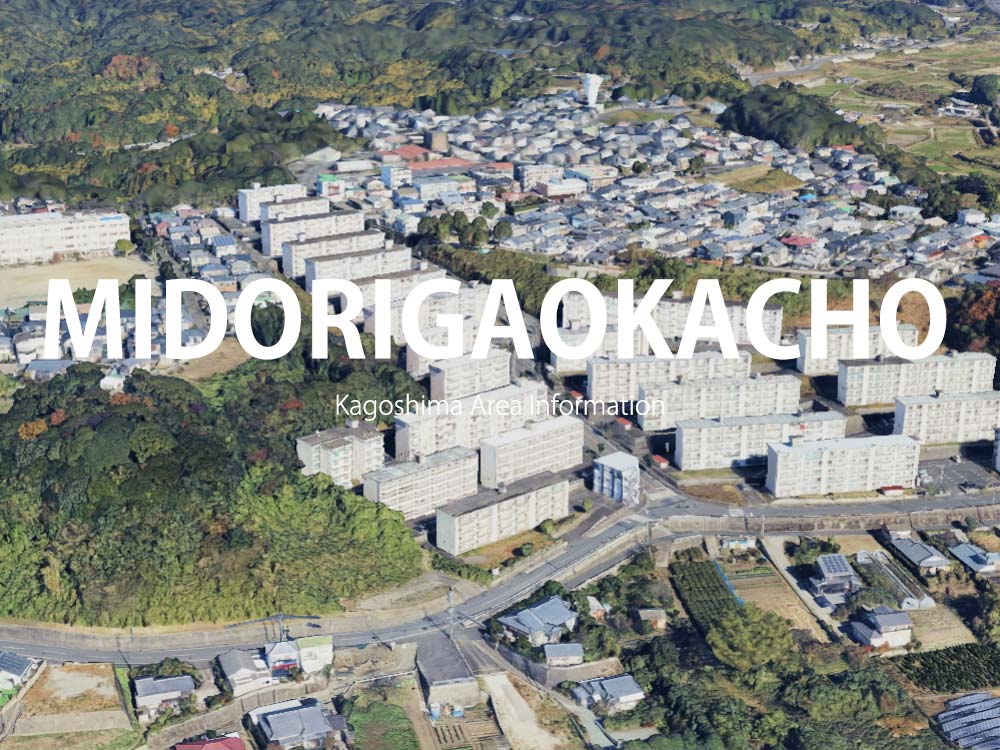 鹿児島市緑ヶ丘町で呼べるデリヘル