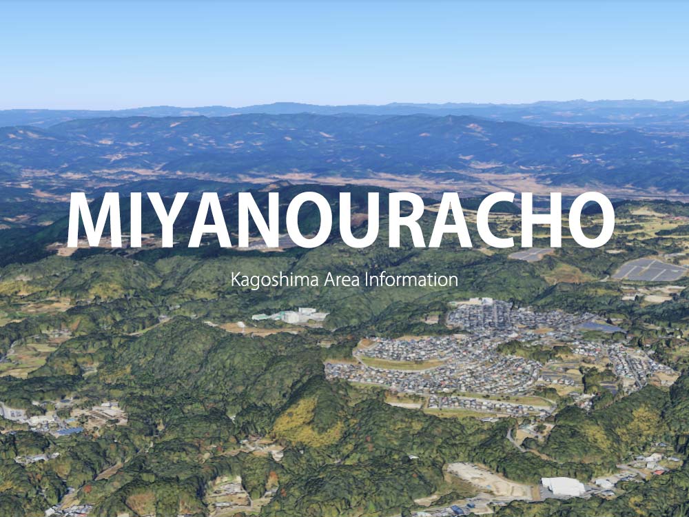 鹿児島市宮之浦町で呼べるデリヘル