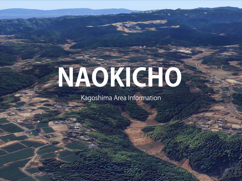 鹿児島市直木町で呼べるデリヘル