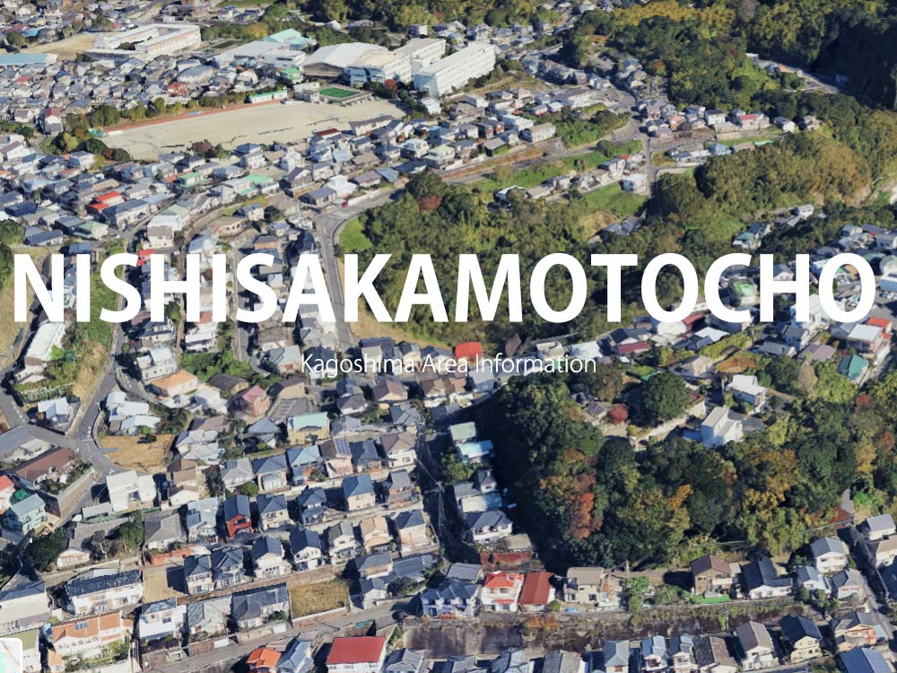 鹿児島市西坂元町で呼べるデリヘル