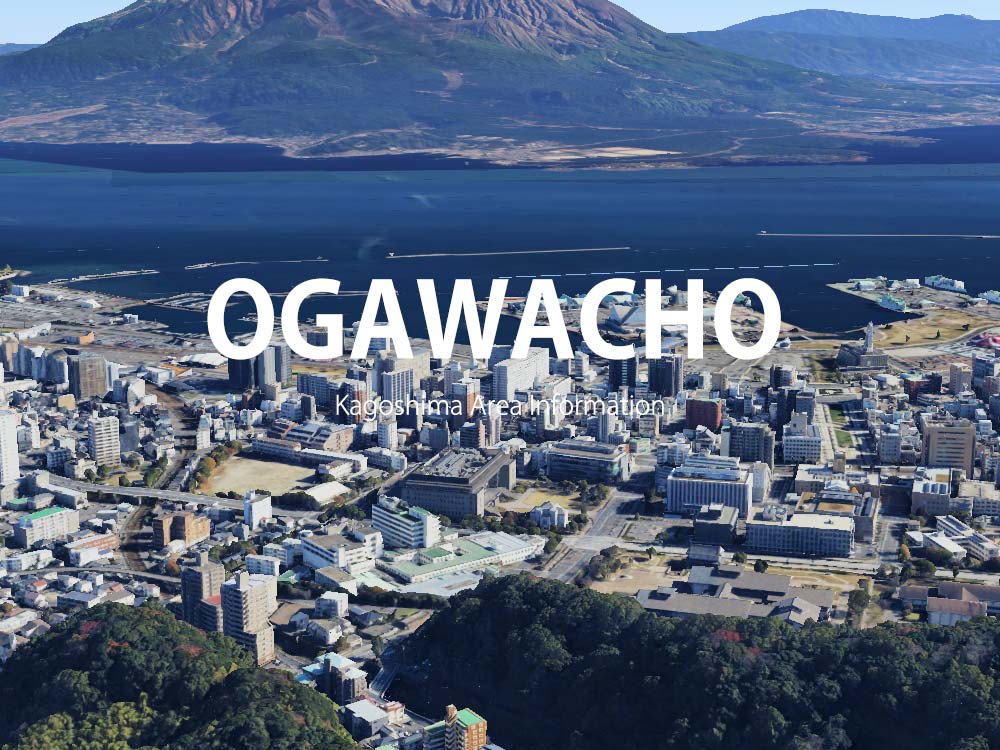 鹿児島市小川町で呼べるデリヘル