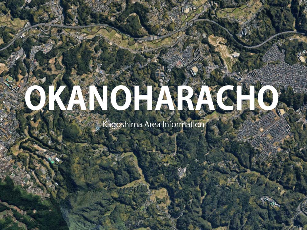 鹿児島市岡之原町で呼べるデリヘル