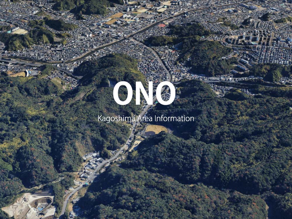 鹿児島市小野で呼べるデリヘル