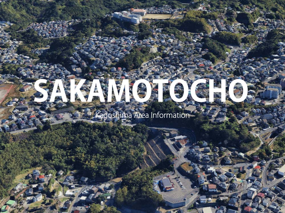 鹿児島市坂元町で呼べるデリヘル