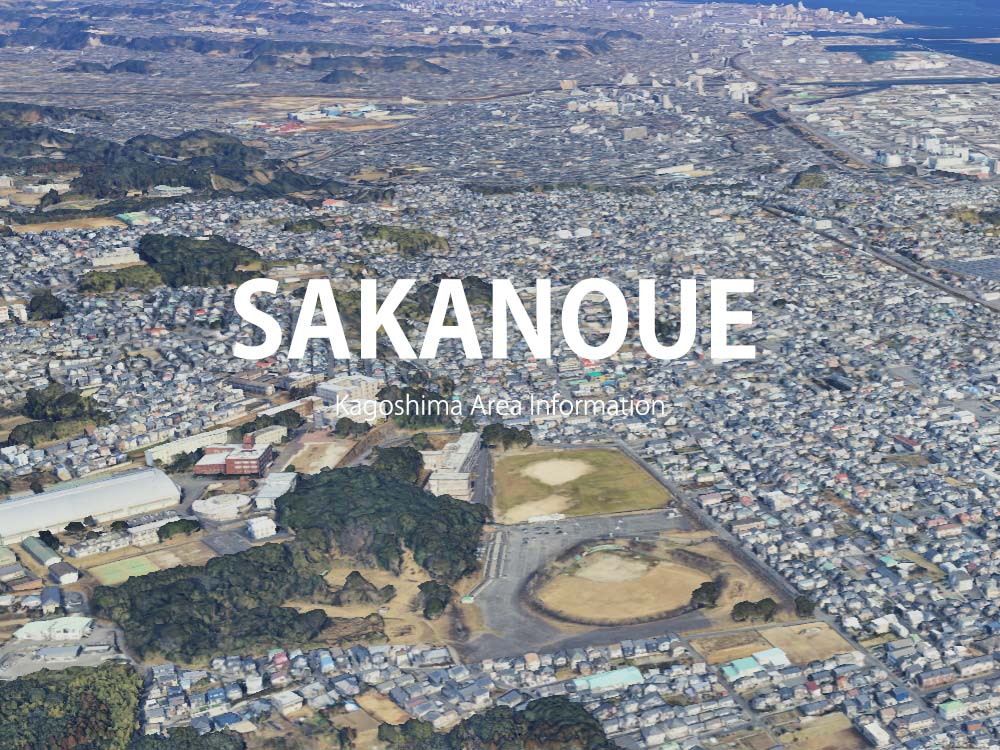 鹿児島市坂之上で呼べるデリヘル