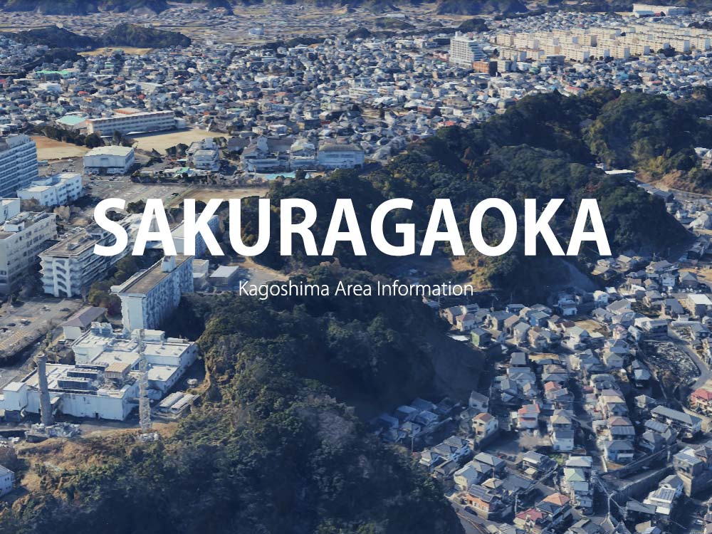 鹿児島市桜ヶ丘で呼べるデリヘル