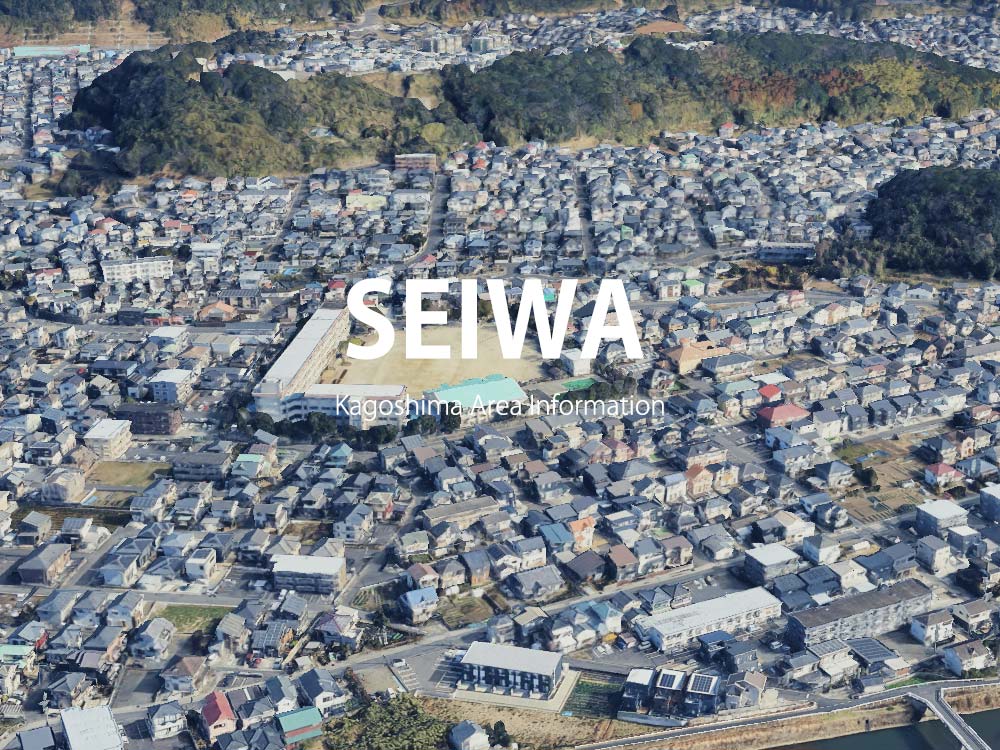 鹿児島市清和で呼べるデリヘル