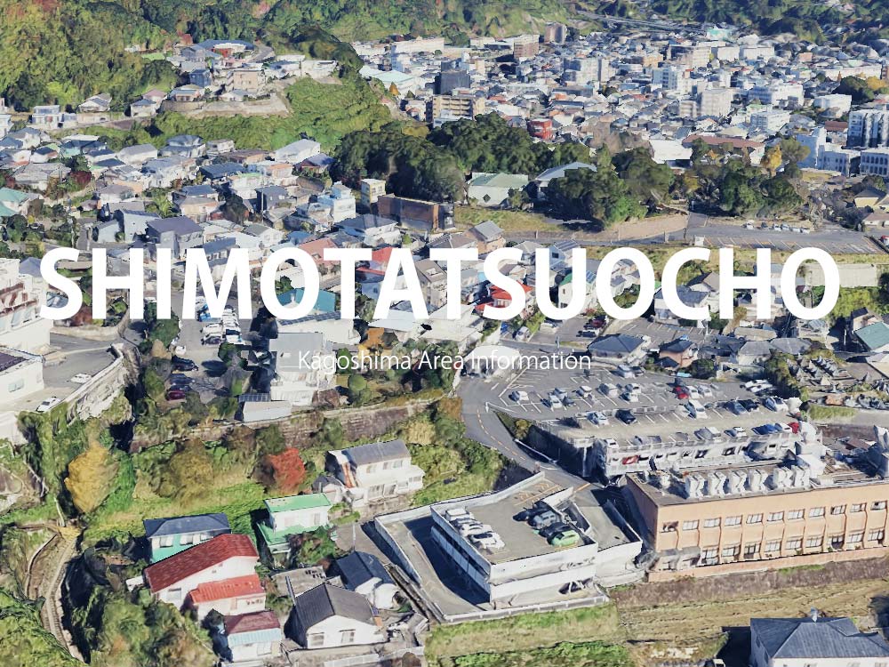 鹿児島市下竜尾町で呼べるデリヘル