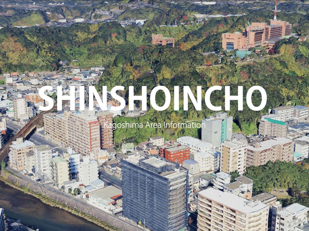 鹿児島市新照院町で呼べるデリヘル