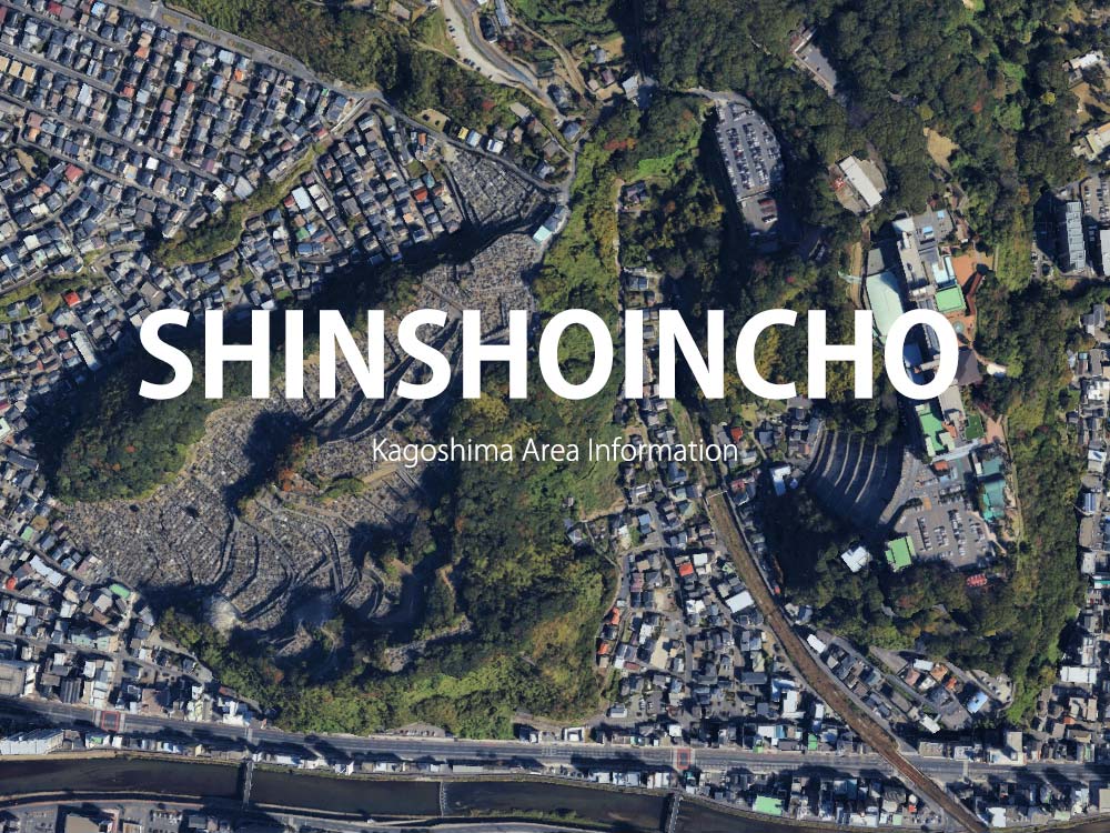 鹿児島「新照院町」について