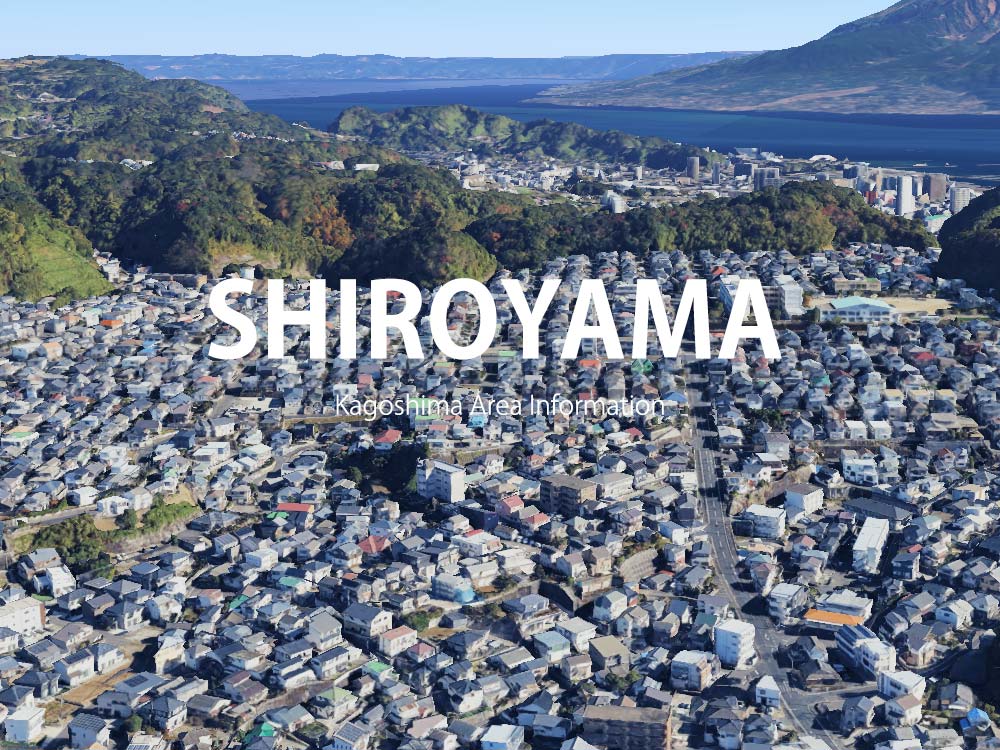 鹿児島市城山で呼べるデリヘル