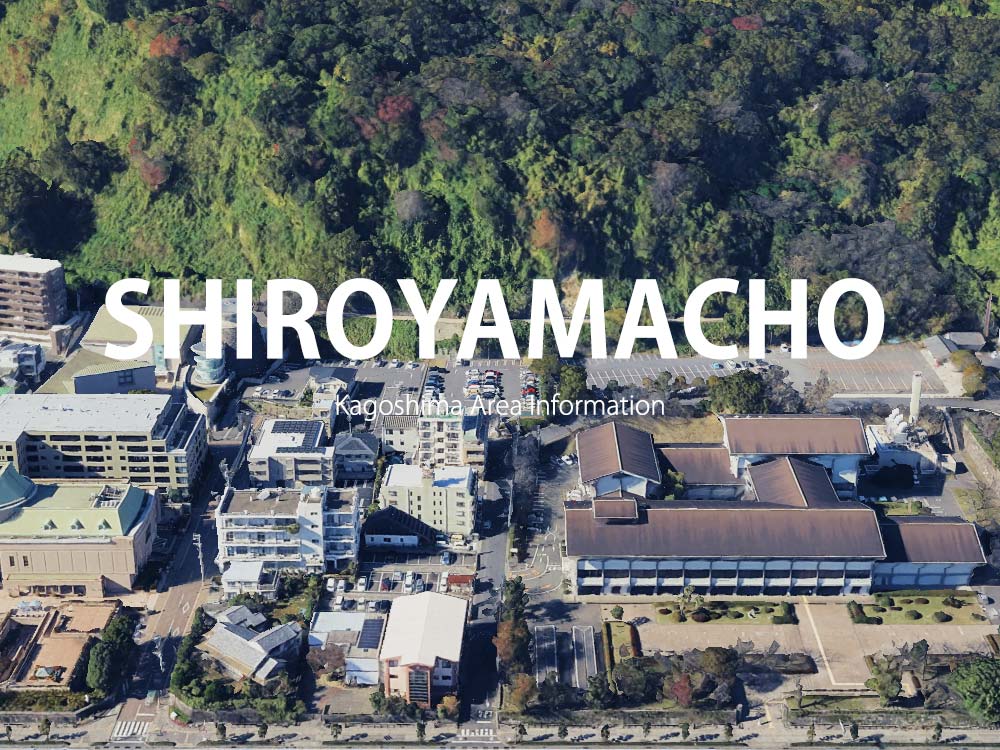 鹿児島市城山町で呼べるデリヘル