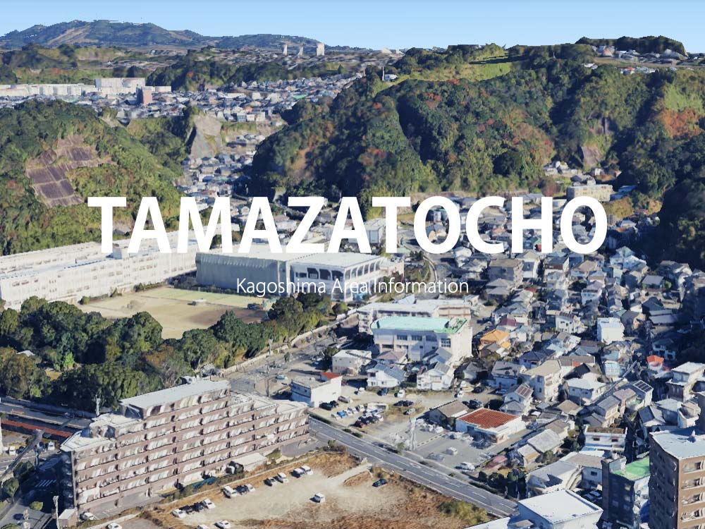 鹿児島市玉里町で呼べるデリヘル
