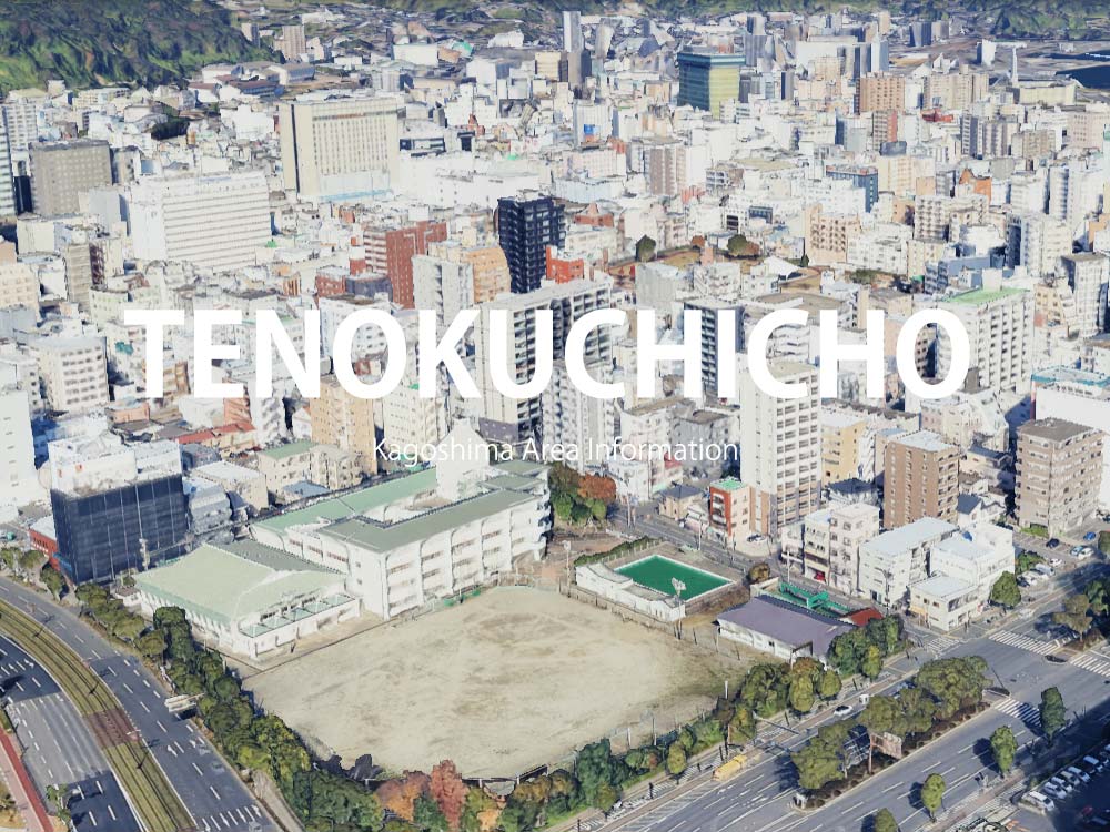 鹿児島市樋之口町で呼べるデリヘル