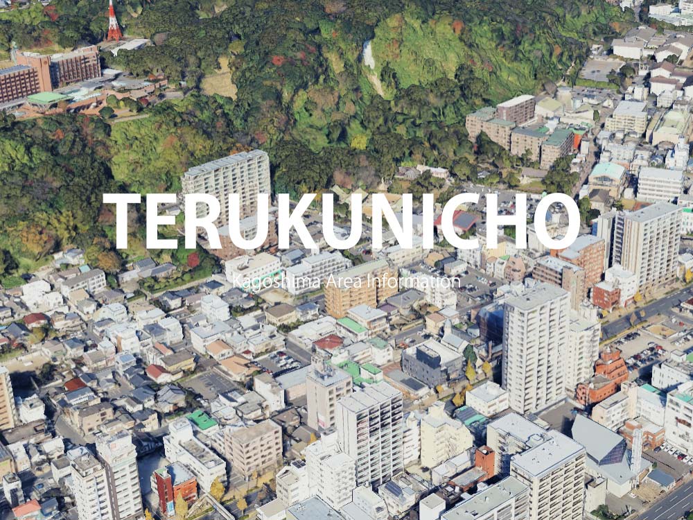 鹿児島市照国町で呼べるデリヘル