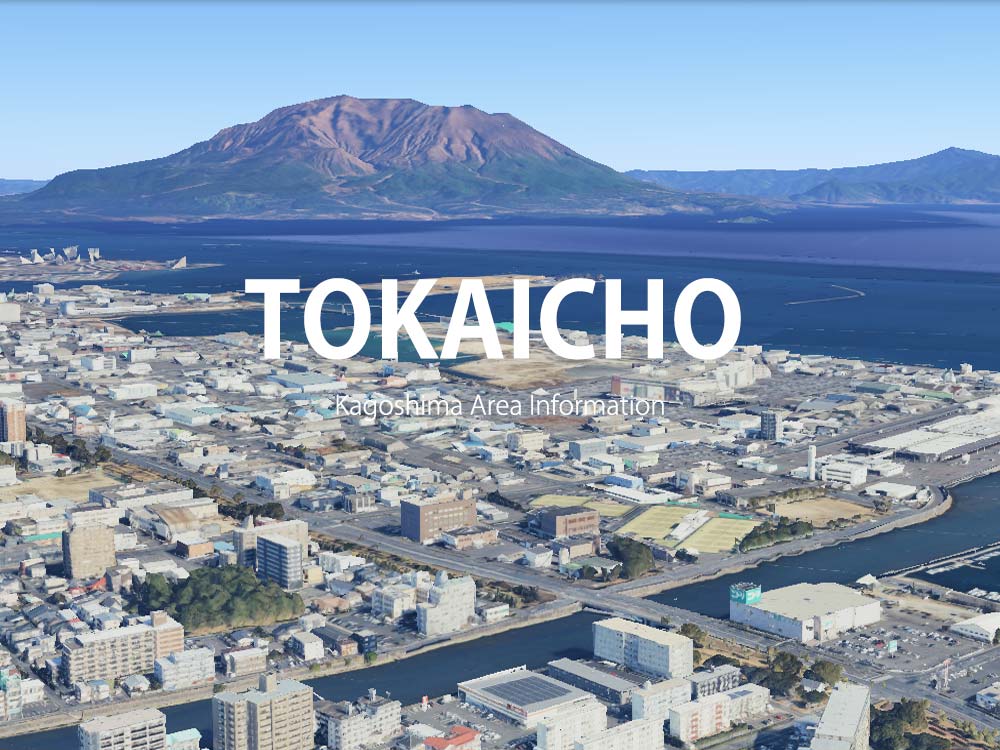 鹿児島市東開町で呼べるデリヘル
