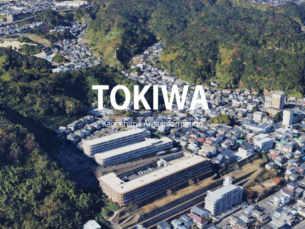 鹿児島市常盤で呼べるデリヘル