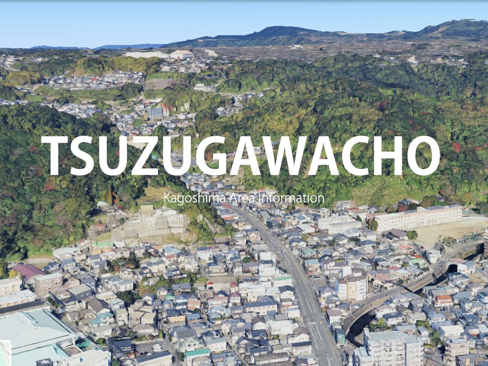 鹿児島市皷川町で呼べるデリヘル