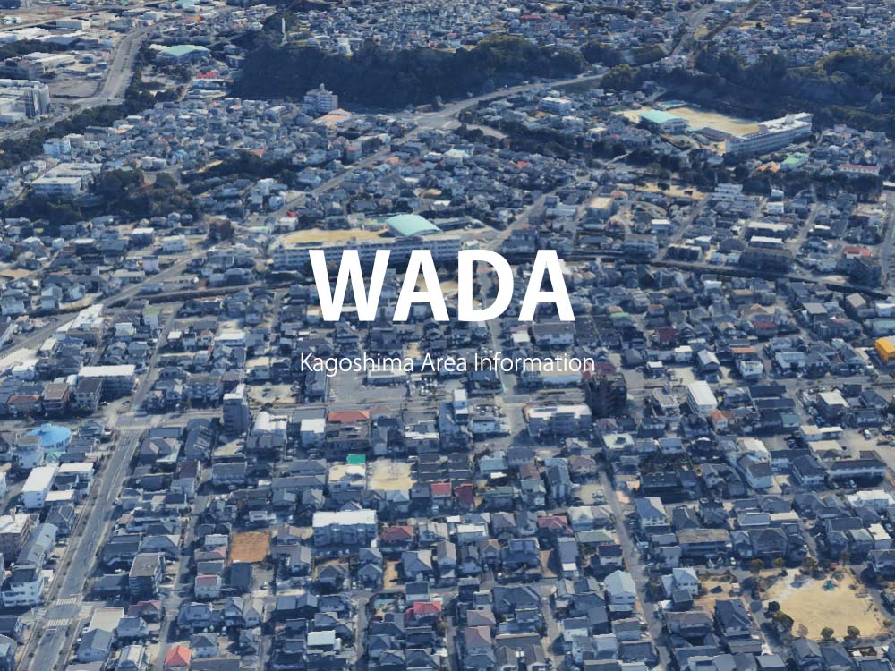 鹿児島市和田で呼べるデリヘル