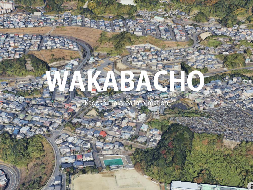 鹿児島市若葉町で呼べるデリヘル