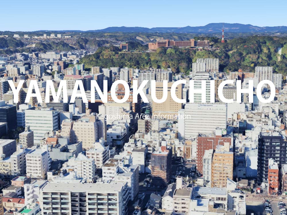 鹿児島市山之口町で呼べるデリヘル